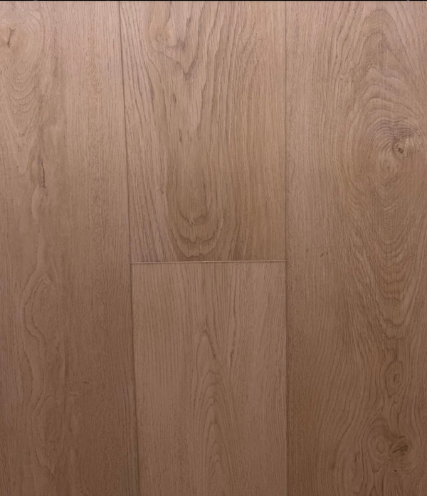 Sandbar Oak