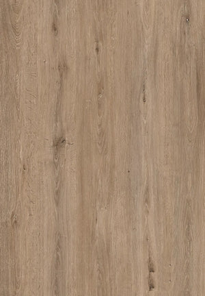 Iron Oak